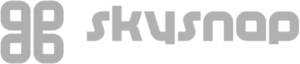 logo szare Skysnap