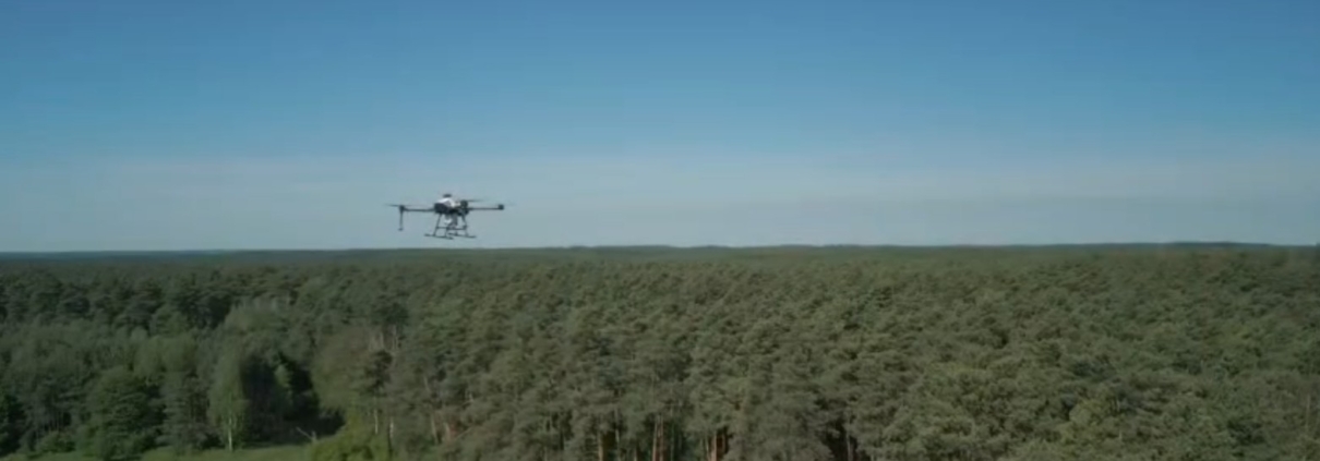 Lasy Państwowe - projekt badawczy